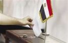 القاهرة الإخبارية: دمياط تشهد إقبالا كبيرا على اللجان الانتخابية منذ الصباح