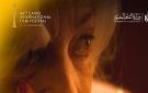 اليوم.. عرض 4 أفلام قصيرة ضمن فعاليات مهرجان القاهرة السينمائي الدولي