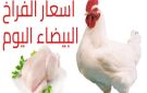 البانيه بـ200 جنيه.. أسعار الفراخ اليوم الخميس 20 نوفمبر