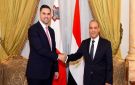 مصر ومالطا تبحثان تعزيز التعاون الاقتصادي والسياسي وتنسيق المواقف الإقليمية - eg