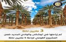 المشروع القومي لزراعة 5 ملايين نخلة نجح في زراعة 3 ملايين نخلة في توشكى والوادي الجديد