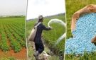تشديد رقابة وزارة الزراعة على صرف الأسمدة وضبط مخالفات المبيدات.. تفاصيل