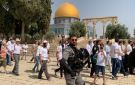 في حماية الاحتلال.. 168 مستوطنا يقتحمون باحات المسجد الأقصى