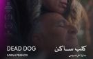 كلب ساكن يفوز بجائزة أفضل فيلم في مسابقة آفاق السينما العربية بمهرجان القاهرة