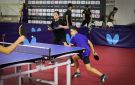 اليوم .. ختام بطولة مصر الدولية لتنس الطاولة بمنافسات قوية