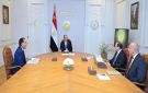 الرئيس السيسي يؤكد ضرورة العمل على زيادة الاستثمارات الخاصة - eg