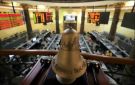 ارتفاع جماعي لمؤشرات البورصة المصرية في نهاية تداولات الأسبوع الثالث من نوفمبر