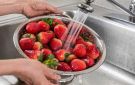 قد تحتوي على الحشرات.. الخطوات الصحيحة لغسيل الفراولة