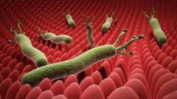 سحب تشغيلة أشهر علاج لجرثومة المعدة وارتجاع المريء.. وهذه عقوبة غش الأدوية