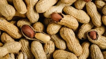 متقشرش الفول السوداني.. دراسة تكشف فوائد عظيمة خاصة لكبار السن تفاصيل