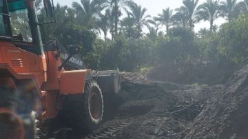 مهلة محددة .. محافظ دمياط يقرر عدم تجديد تراخيص مكامير الفحم ونقلها لمجمع أبوجريدة