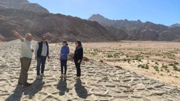 محافظ البحر الأحمر يشكل لجنة لفحص مخرات السيول للتأكد من جاهزيتها محافظ البحر الأحمر يشكل لجنة لفحص مخرات السيول للتأكد من جاهزيتها