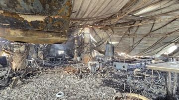 لحظات رعب على شاطئ غوا انفجار غاز يحول سهرة سياحية إلى كارثة جماعية لحظات رعب على شاطئ غوا انفجار غاز يحول سهرة سياحية إلى كارثة جماعية