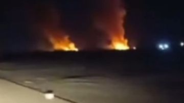 جهود مكثفة للسيطرة على حريق في الغابة الشجرية شمال مدينة الغردقة جهود مكثفة للسيطرة على حريق في الغابة الشجرية شمال مدينة الغردقة