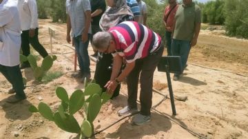 بحوث الصحراء: تسليم 40 مشروعا زراعيا و800 ألف شتلة زيتون في نوفمبر 2025 بحوث الصحراء: تسليم 40 مشروعا زراعيا و800 ألف شتلة زيتون في نوفمبر 2025