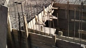 ننشر أسماء مصابى حادث سقوط شدة خشبية ببنها