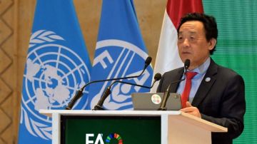 مدير الفاو يثمن جهود الرئيس السيسي والحكومة في دعم جهود المنظمة بمصر مدير الفاو يثمن جهود الرئيس السيسي والحكومة في دعم جهود المنظمة بمصر