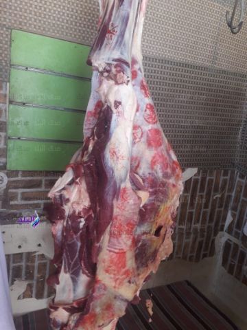 الشرقية.. 47 حملة تفتيشية وضبط 93 طن لحوم فاسدة