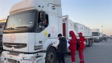 الهلال الأحمر يدفع بـ 256 ألف سلة غذائية عبر قافلة زاد العزة الـ 89 إلى غزة الهلال الأحمر يدفع بـ 256 ألف سلة غذائية عبر قافلة زاد العزة الـ 89 إلى غزة