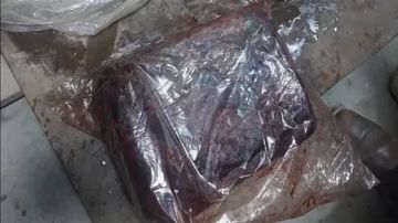 ضبط 30 طن كفتة مصنوعة من مخلفات الدجاج قبل بيعها للمواطنين بالجيزة ضبط 30 طن كفتة مصنوعة من مخلفات الدجاج قبل بيعها للمواطنين بالجيزة