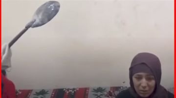 بعد انتشار الفيديو.. أول تحرك برلماني يطالب بتحقيق عاجل في واقعة البشعة