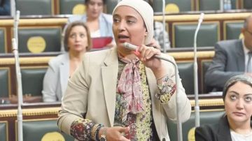 أميرة أبو شقة: الانتخابات الحالية لا تعبر عن صوت المواطن أميرة أبو شقة: الانتخابات الحالية لا تعبر عن صوت المواطن