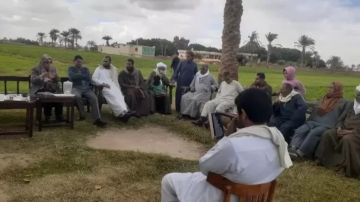 الزراعة تنفذ أكثر من 2000 ندوة إرشادية استفاد منها 30 ألف مزارع في نوفمبر الزراعة تنفذ أكثر من 2000 ندوة إرشادية استفاد منها 30 ألف مزارع في نوفمبر