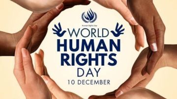 اليوم العالمي لحقوق الإنسان.. ما حققته مصر من تطورات لدعم منظومة الحريات اليوم العالمي لحقوق الإنسان.. ما حققته مصر من تطورات لدعم منظومة الحريات