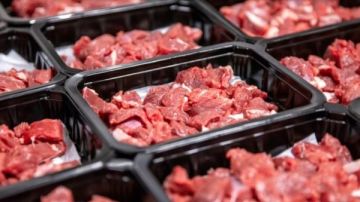 انخفاض يصل إلى 51 جنيها في أسعار اللحوم الحمراء بأسواق المحافظات تفاصيل