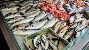 شعبة الأسماك: مصر الرابعة عالميا والأولى أفريقيا في الإنتاج شعبة الأسماك: مصر الرابعة عالميا والأولى أفريقيا في الإنتاج