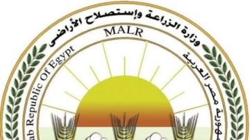 الزراعة ترد على الشائعات: معلومات عزوف المزارعين عن القمح غير دقيقة.. 2350 جنيها لسعر الإردب