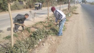 رئيس مدينة سمنود: غرس 75 شجرة مثمرة وزينة ضمن حملات التجميل