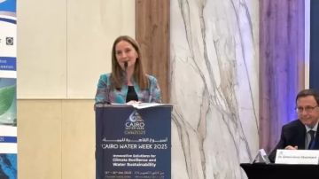 نائبة السفير الإيطالي بالقاهرة: مصر شريك إستراتيجي مهم ومحوري لأوروبا نائبة السفير الإيطالي بالقاهرة: مصر شريك إستراتيجي مهم ومحوري لأوروبا