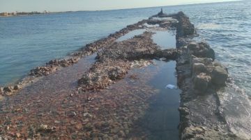 هل يلزم القانون بالإفصاح عن المواد الخطرة في المياه التابعة للدولة؟ هل يلزم القانون بالإفصاح عن المواد الخطرة في المياه التابعة للدولة؟