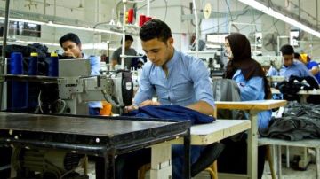 بـ 300 جنيه بس .. طريقة وتكلفة عمل ترخيص مشروع متناهي الصغر