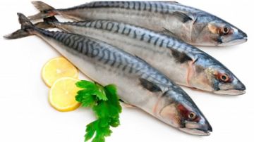 أغنى من الكافيار وأقل تكلفة بكثير.. ما لا تعرفه عن السردين