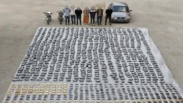 طن ونصف حشيش وهيدرو .. الداخلية تحبط ترويج مخدرات بـ 90 مليون جنيه طن ونصف حشيش وهيدرو .. الداخلية تحبط ترويج مخدرات بـ 90 مليون جنيه