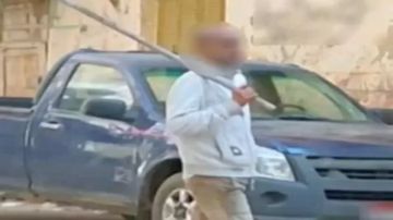 مريض نفسيا .. القبض على المتهم بإيذاء الحيونات الأليفة بالإسكندرية