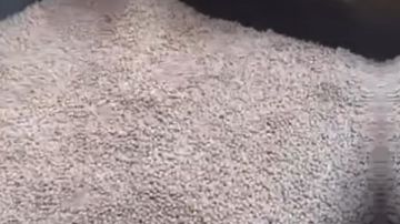 ضبط 5 أطنان بن مغشوش داخل مطحن غير مرخص في القليوبية