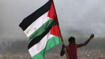 أستاذ علوم سياسية: التحرك المصري أنقذ القضية الفلسطينية من سيناريو التصفية وفرض التهجير أستاذ علوم سياسية: التحرك المصري أنقذ القضية الفلسطينية من سيناريو التصفية وفرض التهجير