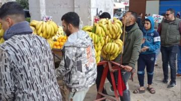 حملات لرفع الاشغالات في حلقة السمك والنقراشي بالزقازيق صور حملات لرفع الاشغالات في حلقة السمك والنقراشي بالزقازيق صور