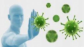 7 بهارات تعزز عملية التمثيل الغذائي والمناعة