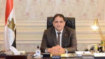 برلماني: الدبلوماسية المصرية لعبت دورا محوريا في إحلال السلام بالعالم العربي وإفريقيا