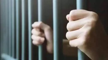 شاب يقتل والدته بسبب خلافات أسرية في مدينة الشيخ زايد شاب يقتل والدته بسبب خلافات أسرية في مدينة الشيخ زايد