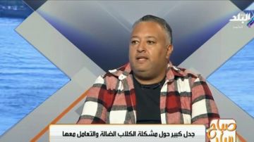 ليه مش بنصدر الكلاب للخارج.. الأطباء البيطريين ترد
