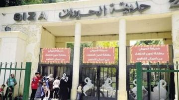 تفاصيل أعمال تطوير حديقتي الحيوان والأورمان.. الحكومة تكشف تفاصيل أعمال تطوير حديقتي الحيوان والأورمان.. الحكومة تكشف