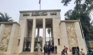 الحكومة تعلن موعد التشغيل التجريبي لحديقتي الحيوان والأورمان الحكومة تعلن موعد التشغيل التجريبي لحديقتي الحيوان والأورمان