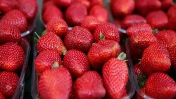 الفراولة رقم واحد .. الصناعات الغذائية: صادراتنا سجلت 5.8 مليار دولار