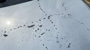 أسرار واقعة مياه النار بمدرسة التجمع.. خصم راتب معلمة كلمة السر 