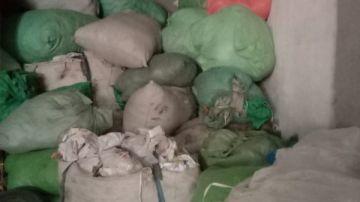 تحرير محضرين لمخزنين و11 محضرا لمحال مخالفة لقانون المخلفات بالإسماعيلية تحرير محضرين لمخزنين و11 محضرا لمحال مخالفة لقانون المخلفات بالإسماعيلية